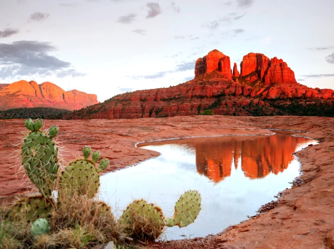 5 Tips for Opening a Sober Living Home in Arizona