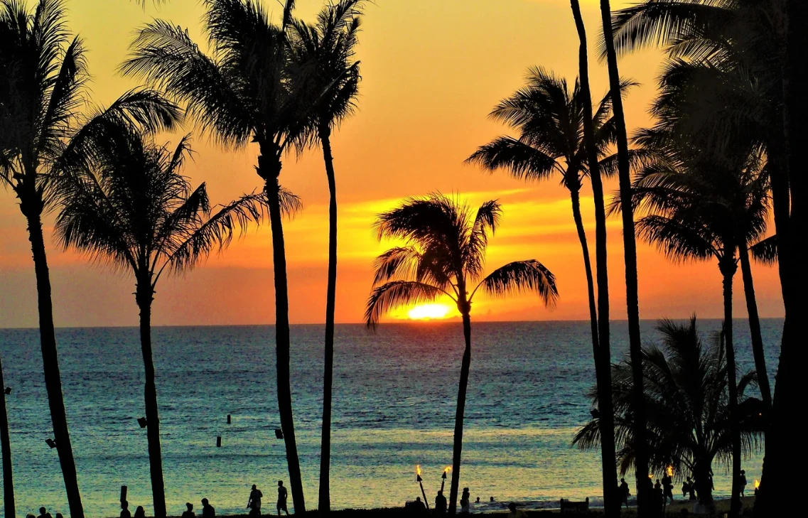 sober living home how to open Hawaii license registration regulations law