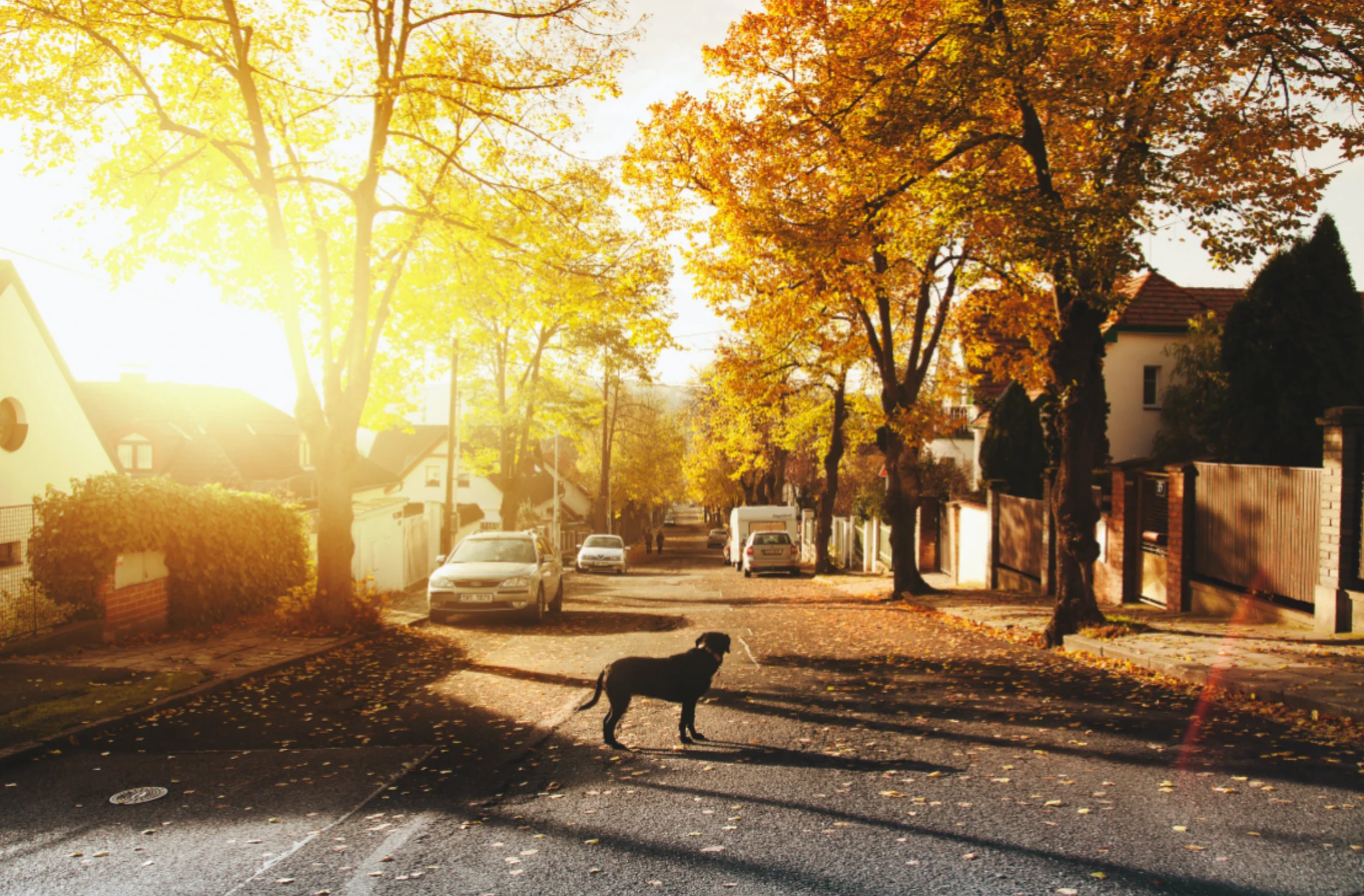 Looking for a step-by-step template for writing your sober living home’s good neighbor agreement? Here it is.