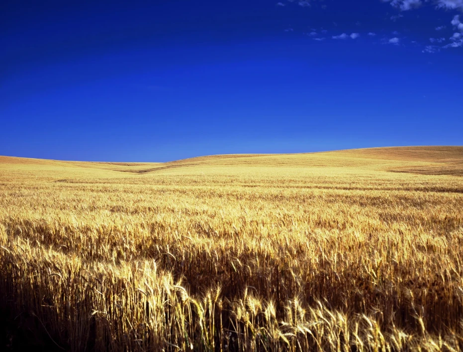 Kansas sober living home certification regulations how to open