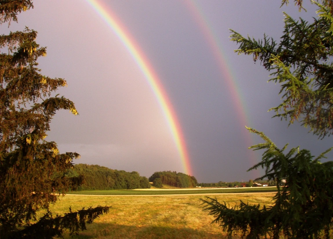 Remove the added strain of billing details from your sober living home manager.