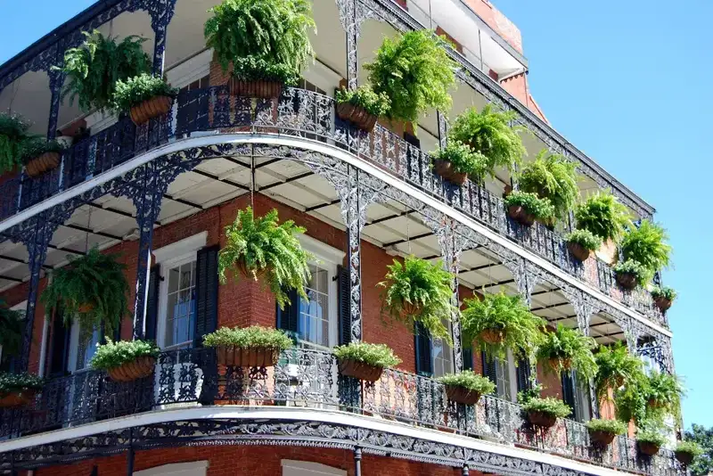 Why Louisiana is a Great State for Opening a Sober Living Home