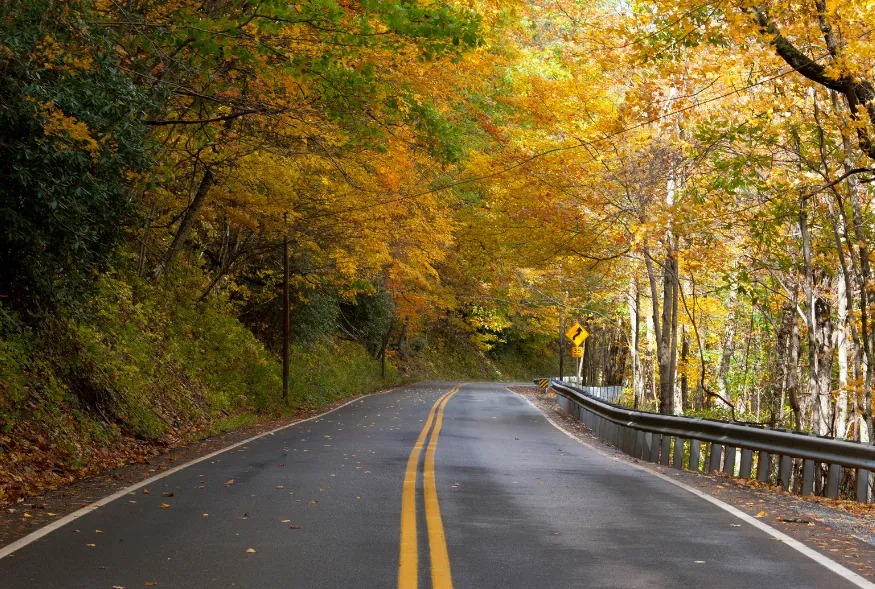 Your Questions About Opening a Sober Living Home in West Virginia - Answered