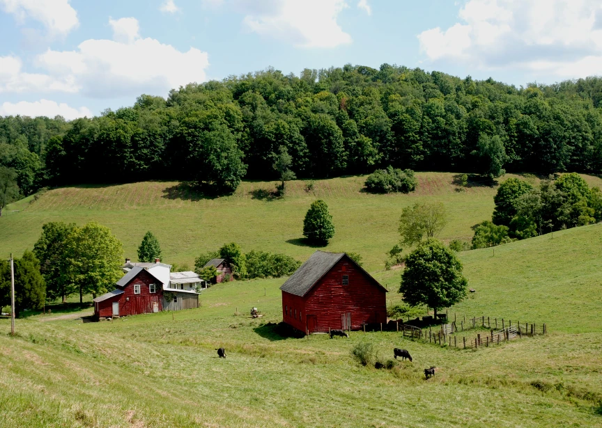 how many sober living homes are there in west virginia recovery residence